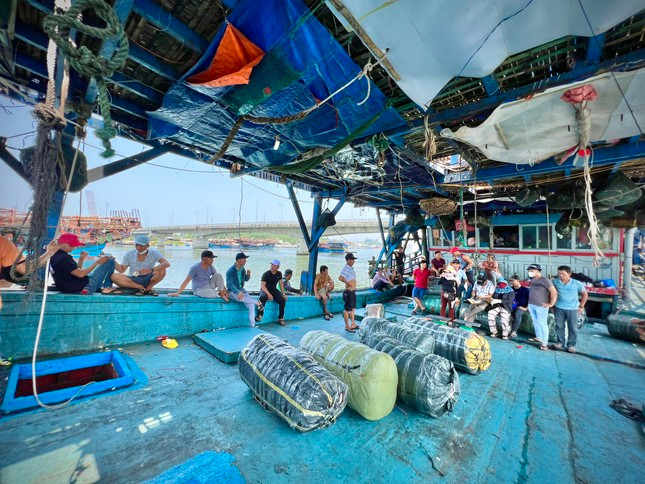 Ngư dân bán mực cho thương lái. Ngư dân bán mực cho thương lái.