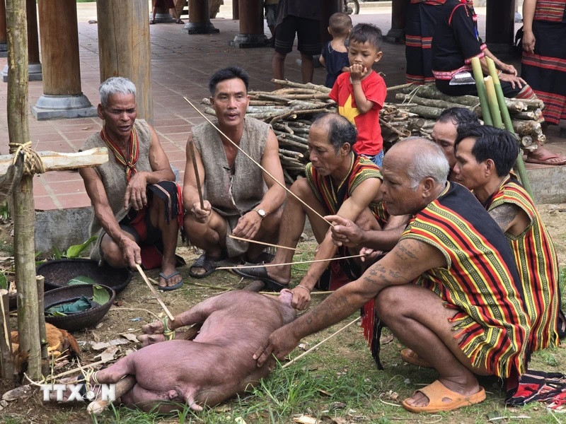Nghi thức cúng Trỉa lúa của người Brâu là dâng cho Yàng (thần) những sản vật địa phương với hi vọng mang lại vụ mùa bội thu. (Ảnh: Khoa Chương/TTXVN) Nghi thức cúng Trỉa lúa của người Brâu là dâng cho Yàng (thần) những sản vật địa phương với hi vọng mang lại vụ mùa bội thu. (Ảnh: Khoa Chương/TTXVN)