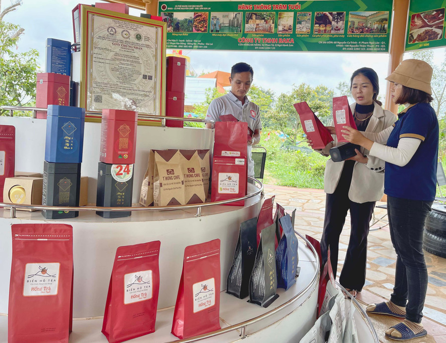 Bộ sản phẩm Hồng Trà của Công ty cổ phần Chè Biển Hồ được đề cử tham gia bình chọn sản phẩm CNNT tiêu biểu cấp khu vực năm 2024. Ảnh: V.T