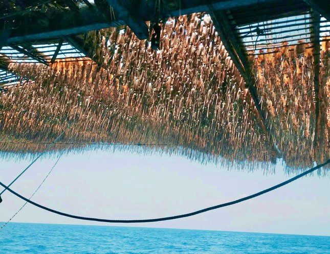 Ngư dân phơi mực trên tàu, ở ngoài khơi. Ngư dân phơi mực trên tàu, ở ngoài khơi.