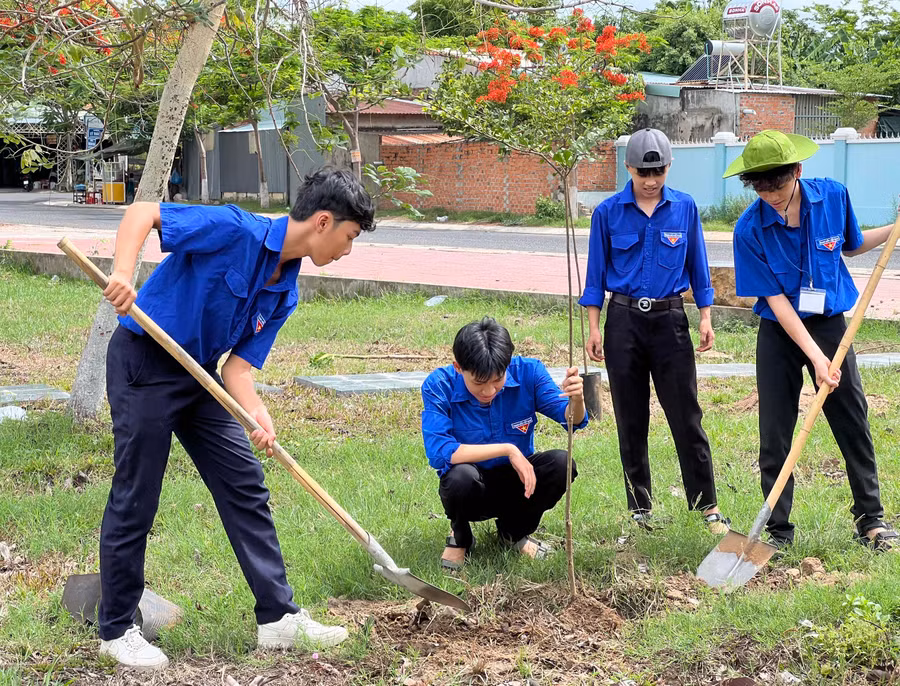 Tuổi trẻ Gia Lai chung tay phủ xanh đất trống, đồi trọc ảnh 1