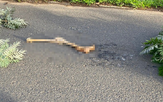 Vật thể giống chân người trên đường Hoa Hồng thuộc khu du lịch quốc gia hồ Tuyền Lâm. Vật thể giống chân người trên đường Hoa Hồng thuộc khu du lịch quốc gia hồ Tuyền Lâm.