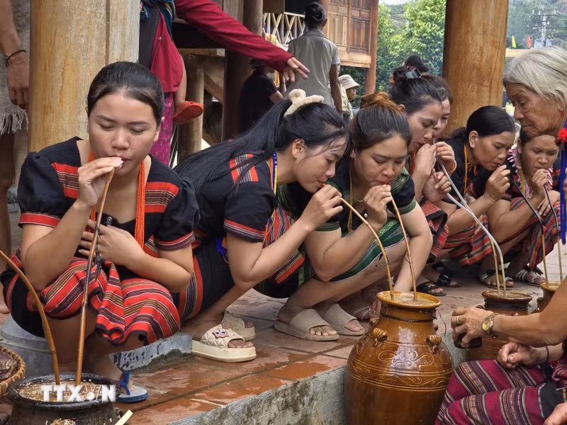 Dân làng người Brâu cùng đến thưởng thức rượu thiêng để mong thần linh chứng giám, phù hộ cho gia đình mình trong mùa vụ mới. (Ảnh: Khoa Chương/TTXVN)