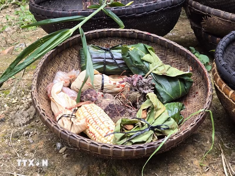 Gùi hạt giống được người Brâu bôi máu trâu và mang cúng Yàng (thần) với mong muốn có được vụ mùa bội thu. (Ảnh: Khoa Chương/TTXVN)