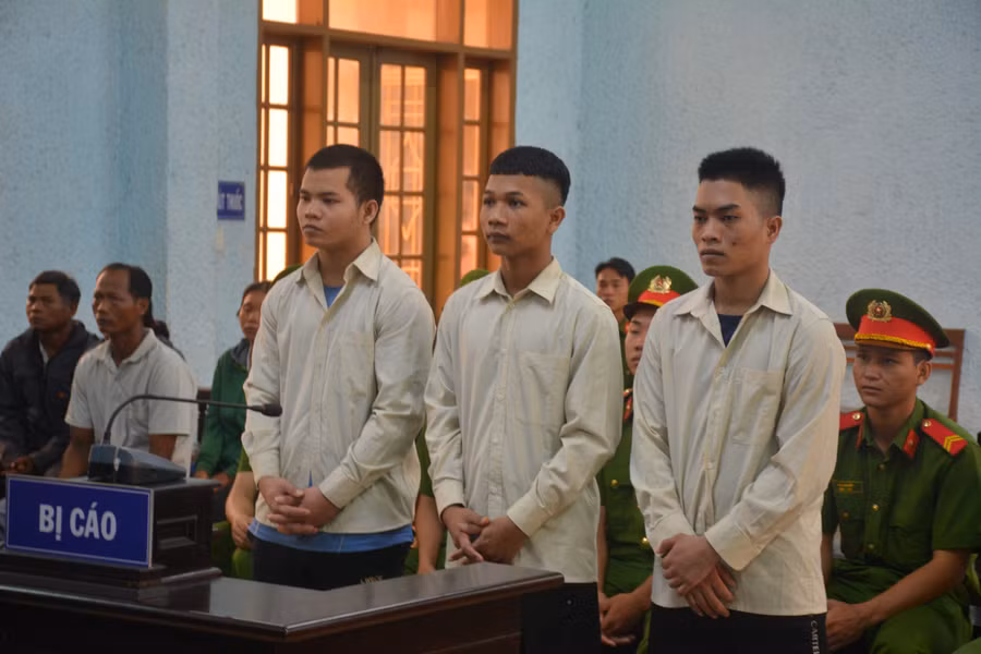 3 bị cáo từ phải qua gồm: Nay Jao, Nay Đinh và Rơ Ô Ngáo bị đưa ra xét xử về tội "Hiếp dâm người dưới 16 tuổi". Ảnh: Hoàng Lộc