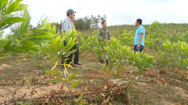 Công tác bảo vệ và phát triển rừng ở Gia Lai vẫn tiềm ẩn nhiều phức tạp, khó khăn