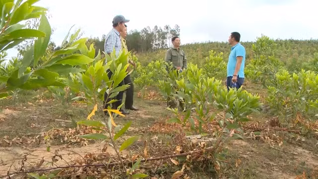 Công tác bảo vệ và phát triển rừng ở Gia Lai vẫn tiềm ẩn nhiều phức tạp, khó khăn Công tác bảo vệ và phát triển rừng ở Gia Lai vẫn tiềm ẩn nhiều phức tạp, khó khăn