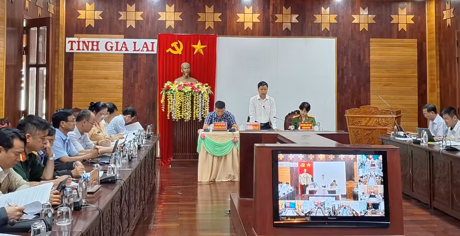 Phó Chủ tịch UBND tỉnh phát biểu chỉ đạo tại hội nghị. Ảnh: T.D