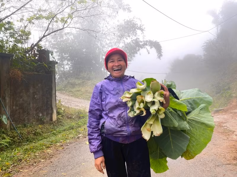 Vẻ đẹp lao động ở Vân Sơn.