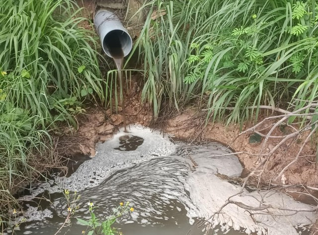 Một trại heo trên địa bàn xã Ia Piơr, huyện Chư Prông có ống nước thải chảy ra môi trường Một trại heo trên địa bàn xã Ia Piơr, huyện Chư Prông có ống nước thải chảy ra môi trường