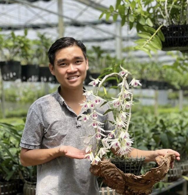 Một số loại lan có giá trị được trồng tại vườn của anh Vũ Đức Nghi Một số loại lan có giá trị được trồng tại vườn của anh Vũ Đức Nghi
