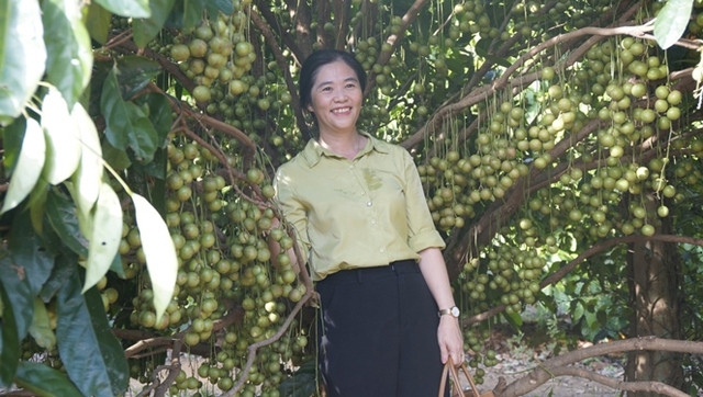 Du khách tham quan, chụp ảnh tại vườn dâu da của nhà ông Đặng Văn Cấp Du khách tham quan, chụp ảnh tại vườn dâu da của nhà ông Đặng Văn Cấp