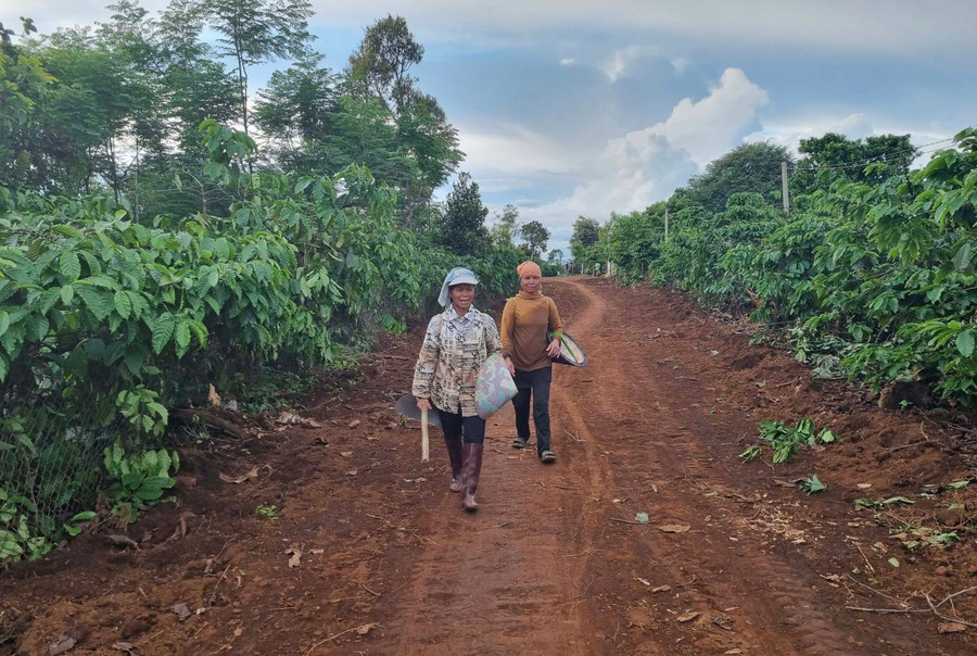 Người dân làng Ku Tong (xã Ia Pếch) hưởng ứng việc hiến đất mở rộng đường giao thông nông thôn. Ảnh: P.D Người dân làng Ku Tong (xã Ia Pếch) hưởng ứng việc hiến đất mở rộng đường giao thông nông thôn. Ảnh: P.D
