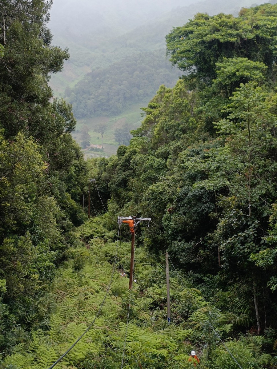 Những cột điện cao chục mét "lọt thỏm" giữa rừng nguyên sinh. Ảnh: ĐVCC Những cột điện cao chục mét "lọt thỏm" giữa rừng nguyên sinh. Ảnh: ĐVCC