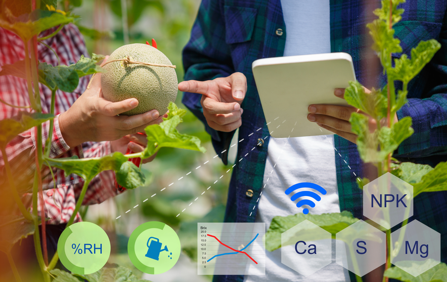 Thông qua dữ liệu được thu thập, AI tổng hợp, phân tích và đưa ra những quyết định giúp người lao động. Ảnh H.H Thông qua dữ liệu được thu thập, AI tổng hợp, phân tích và đưa ra những quyết định giúp người lao động. Ảnh H.H