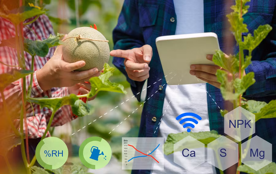 Thông qua dữ liệu được thu thập, AI tổng hợp, phân tích và đưa ra những quyết định giúp người lao động. Ảnh H.H