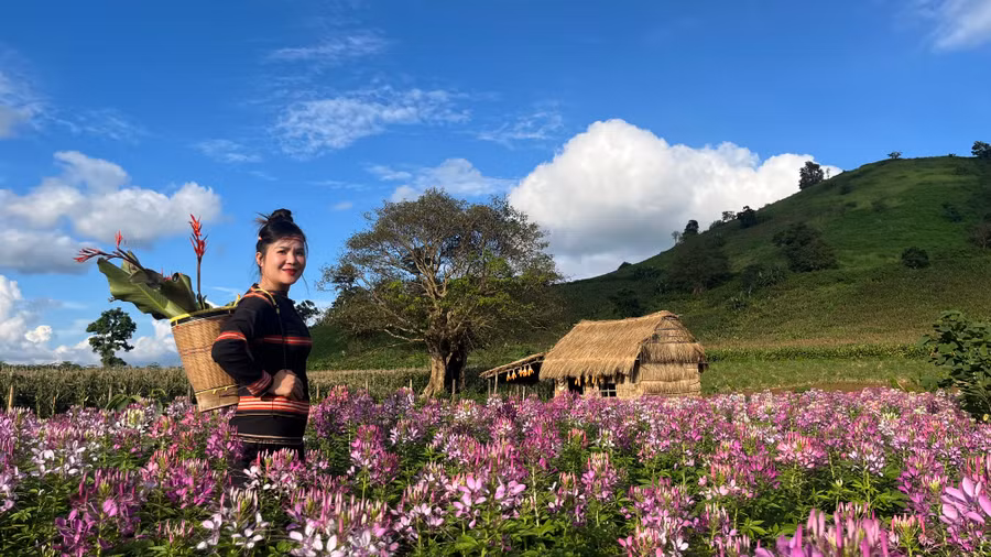 Đứng ở góc cảnh nào, du khách cũng dễ dàng có được những bức ảnh đẹp. Ảnh: Hoàng Hoài