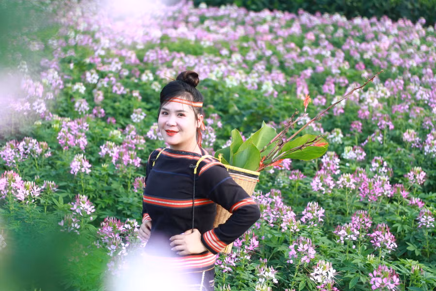 Đến đây du khách sẽ được đắm mình trong không gian xanh, tràn ngập sắc hoa và tận hưởng không khí trong lành của núi rừng Tây Nguyên. Ảnh: Hoàng Hoài