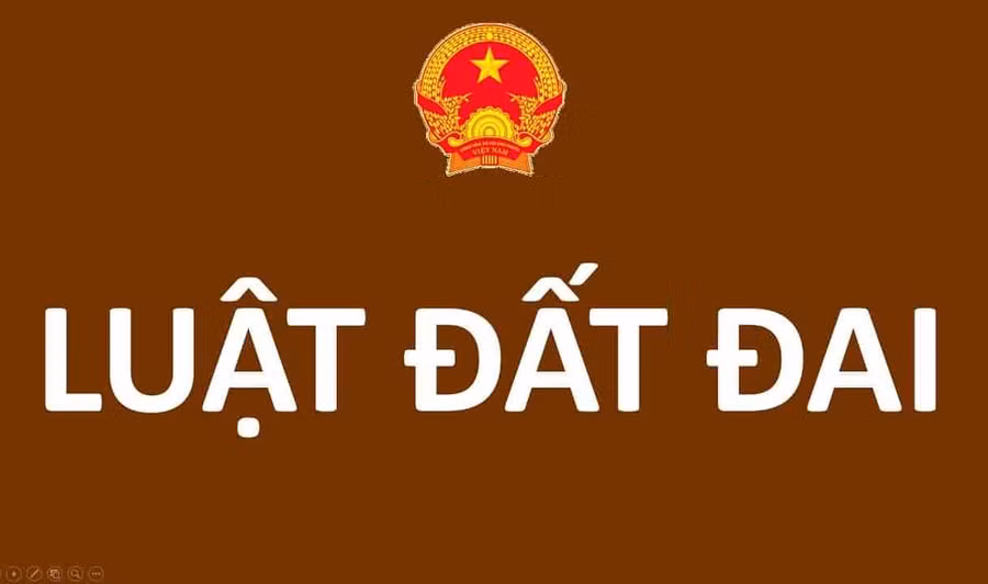 Ảnh: Internet Ảnh: Internet