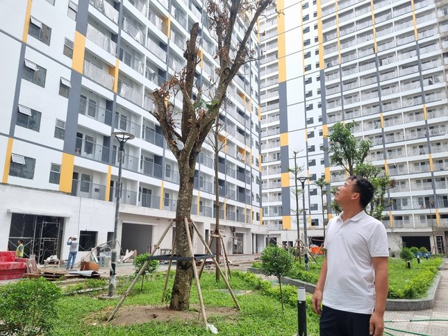 Từ 1/8, người dân rộng cửa mua nhà ở xã hội khi được nới điều kiện về thu nhập (ảnh: Ngọc Mai). Từ 1/8, người dân rộng cửa mua nhà ở xã hội khi được nới điều kiện về thu nhập (ảnh: Ngọc Mai).