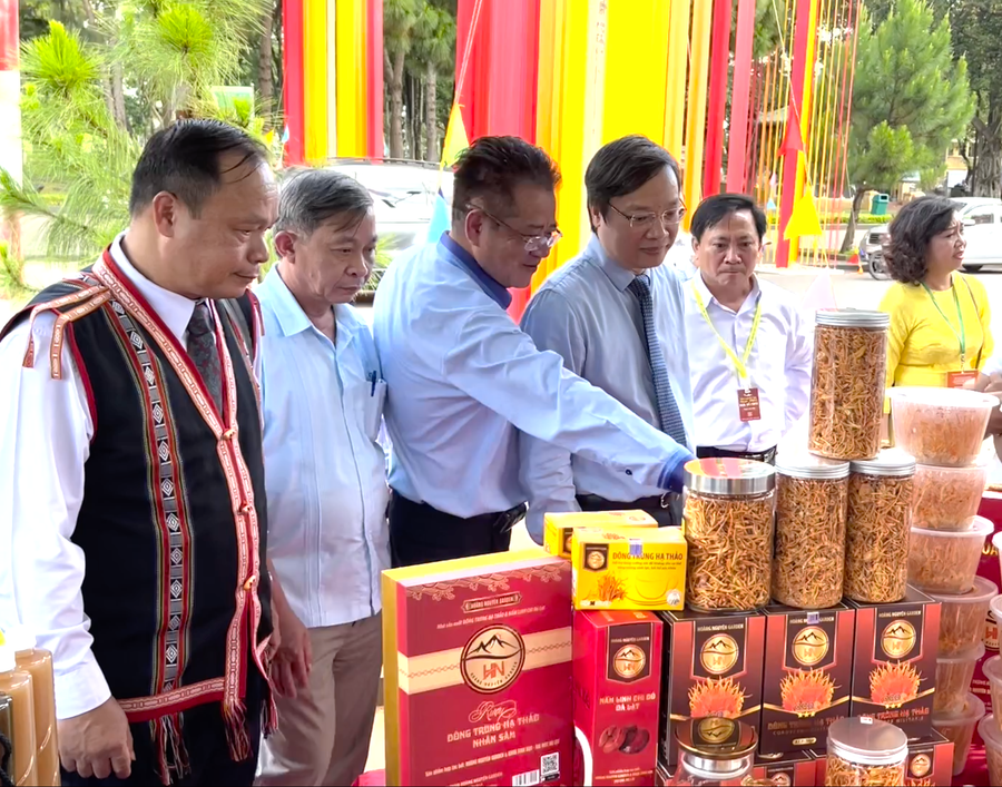 Gia Lai tăng cường quản lý chất lượng, đảm bảo an toàn, nâng cao thương hiệu đối với sản phẩm, hàng hóa đặc thù trên địa bàn tỉnh. Ảnh: Hà Duy
