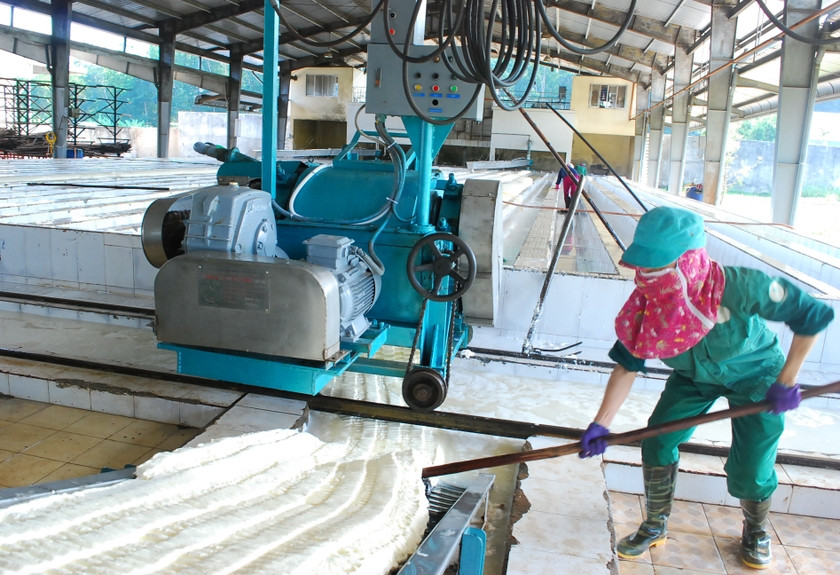 Công ty TNHH một thành viên Cao su Chư Păh đầu tư xây dựng, cải tiến công nghệ chế biến mủ để nâng cao chất lượng sản phẩm. Ảnh: Hồng Thương Công ty TNHH một thành viên Cao su Chư Păh đầu tư xây dựng, cải tiến công nghệ chế biến mủ để nâng cao chất lượng sản phẩm. Ảnh: Hồng Thương