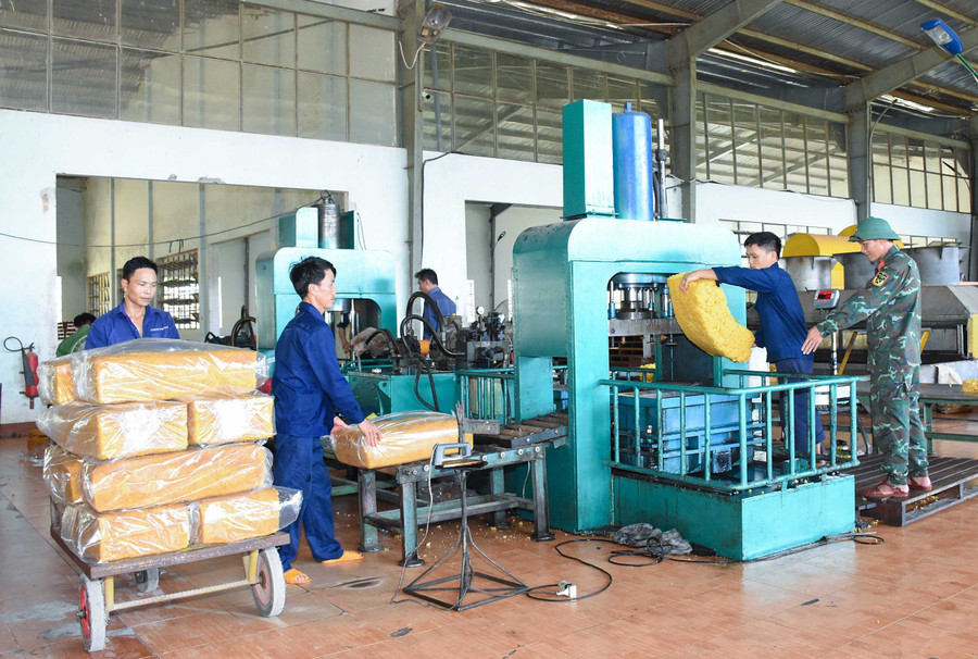 Nhà máy chế biến mủ cao su của Công ty 715. Ảnh: V.H Nhà máy chế biến mủ cao su của Công ty 715. Ảnh: V.H