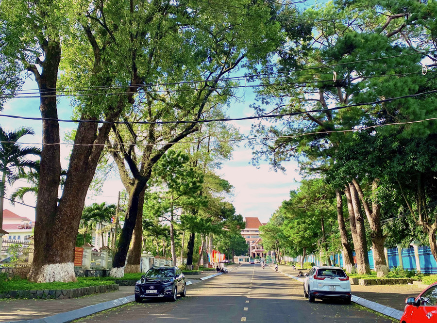 Theo Quy chế, thành phố Pleiku định hướng phát triển kiến trúc, bảo vệ cảnh quan, phù hợp với bản sắc văn hóa địa phương trong kiến trúc đô thị. Ảnh: Hà Duy