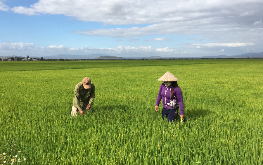 Từ nguồn vốn hỗ trợ cho 3 chương trình mục tiêu quốc gia, người dân vùng đồng bào dân tộc thiểu số trên địa bàn tỉnh đã đầu tư vào sản xuất, từng bước cải thiện đời sống. Ảnh: Hà Duy Từ nguồn vốn hỗ trợ cho 3 chương trình mục tiêu quốc gia, người dân vùng đồng bào dân tộc thiểu số trên địa bàn tỉnh đã đầu tư vào sản xuất, từng bước cải thiện đời sống. Ảnh: Hà Duy