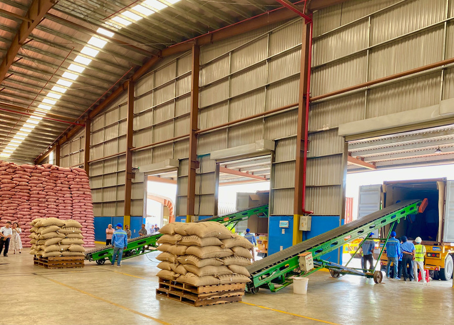 Lô hàng cà phê organic đầu tiên của Gia Lai nói riêng, của Việt Nam nói chung xuất khẩu sang thị trường Nhật Bản. Ảnh: Hà Duy Lô hàng cà phê organic đầu tiên của Gia Lai nói riêng, của Việt Nam nói chung xuất khẩu sang thị trường Nhật Bản. Ảnh: Hà Duy