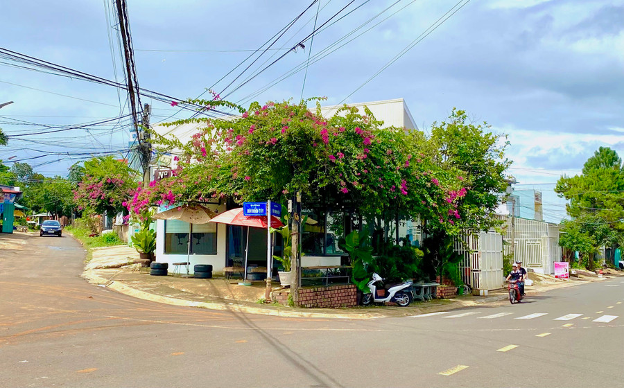 Giàn hoa giấy quyến rũ nằm ngay góc ngã ba Bùi Đình Túy-Tô Vĩnh Diện đã tạo dấu ấn khó phai đối với những người dân thường xuyên đi qua cung đường này.