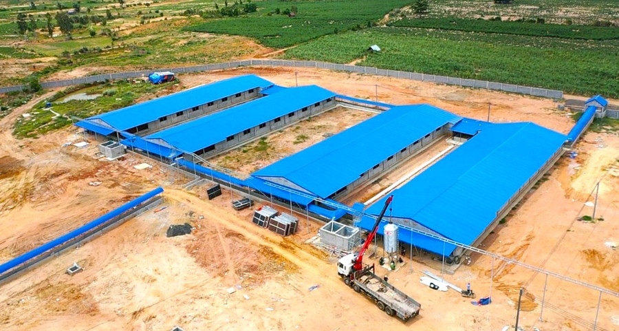 Gia Lai đang thu hút nhiều dự án chăn nuôi công nghệ cao. Ảnh: Hà Duy