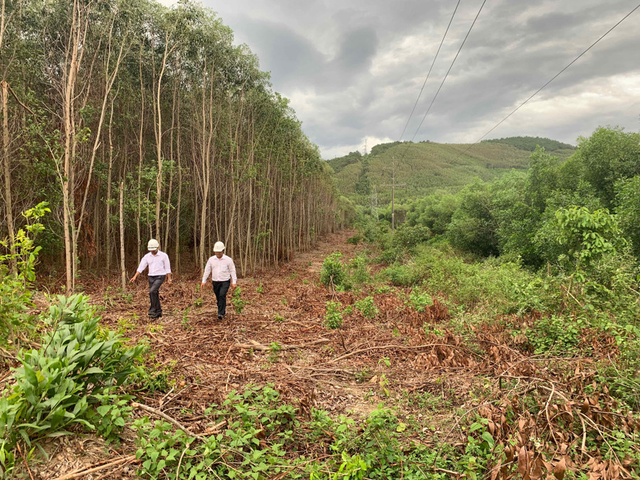 Ngành điện Gia Lai kiểm tra hành lang an toàn lưới điện, tránh chạm chập, gây cháy rừng. Ảnh: Hà Duy Ngành điện Gia Lai kiểm tra hành lang an toàn lưới điện, tránh chạm chập, gây cháy rừng. Ảnh: Hà Duy