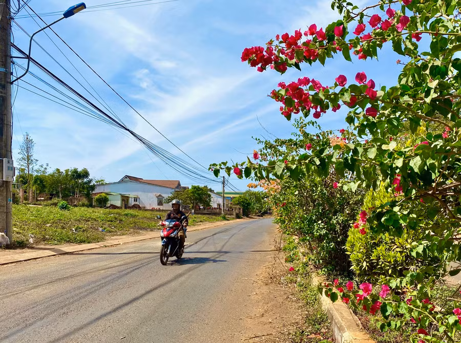 Dải phân cách rực rỡ hoa giấy ngay tại trung tâm xã Glar (huyện Đak Đoa). Ảnh: Hà Duy Dải phân cách rực rỡ hoa giấy ngay tại trung tâm xã Glar (huyện Đak Đoa). Ảnh: Hà Duy