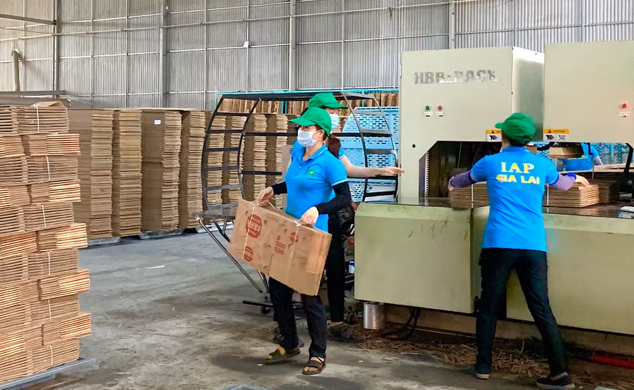 Theo giấy phép, nhà máy sản xuất giấy chỉ được phép thực hiện các nội dung cấp phép sau khi đã hoàn thành các công trình bảo vệ môi trường tương ứng. Ảnh: Hà Duy