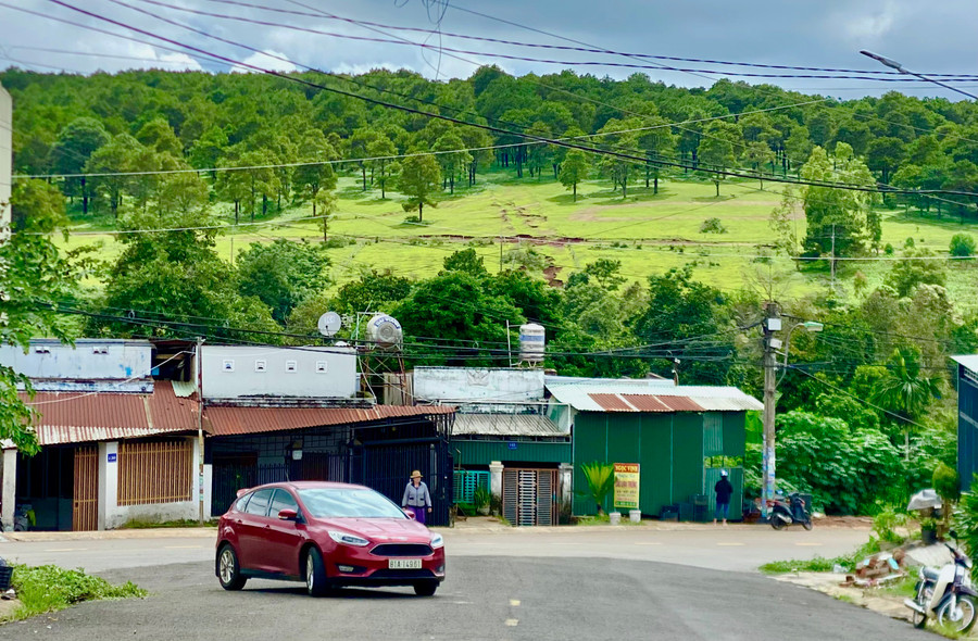 Nhiều người rất thích thú khi có thể ngắm một góc rất xanh khi đứng ngay đầu dốc đường Trần Phú-Nguyễn Thiếp.