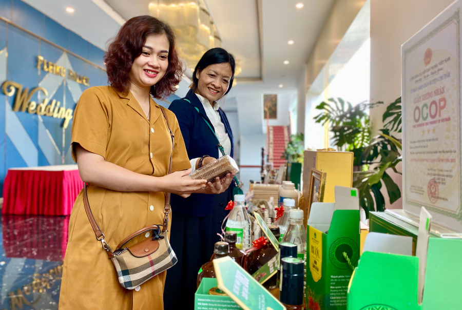 Bãi bỏ 15 thủ tục hành chính thuộc thẩm quyền giải quyết của Sở kế hoạch và Đầu tư trong lĩnh vực thành lập và hoạt động của tổ hợp tác, hợp tác xã, liên hiệp hợp tác xã. Ảnh: Hà Duy Bãi bỏ 15 thủ tục hành chính thuộc thẩm quyền giải quyết của Sở kế hoạch và Đầu tư trong lĩnh vực thành lập và hoạt động của tổ hợp tác, hợp tác xã, liên hiệp hợp tác xã. Ảnh: Hà Duy