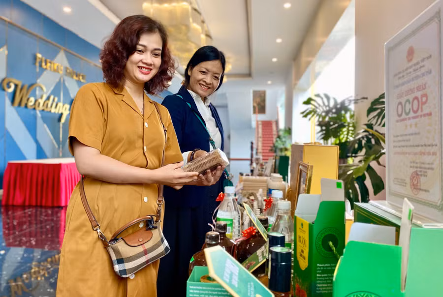 Bãi bỏ 15 thủ tục hành chính thuộc thẩm quyền giải quyết của Sở kế hoạch và Đầu tư trong lĩnh vực thành lập và hoạt động của tổ hợp tác, hợp tác xã, liên hiệp hợp tác xã. Ảnh: Hà Duy