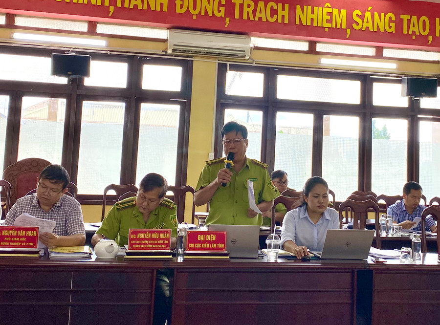 Các thành viên Ban Chỉ đạo thảo luận nhiều nội dung liên quan đến chương trình phát triển lâm nghiệp bền vững. Ảnh: Hà Duy Các thành viên Ban Chỉ đạo thảo luận nhiều nội dung liên quan đến chương trình phát triển lâm nghiệp bền vững. Ảnh: Hà Duy