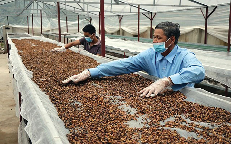 Ảnh minh hoạ: Internet