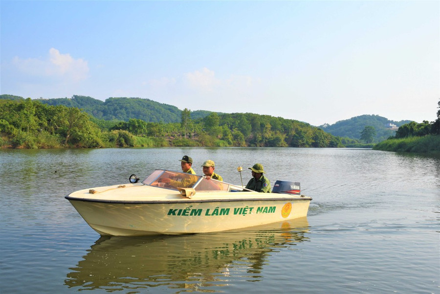 Lực lượng kiểm lâm Ban Quản lý rừng phòng hộ Đắk Mai tuần tra, bảo vệ rừng dọc sông Đắc Huýt, thượng nguồn sông Bé. Ảnh: HOÀNG BẮC