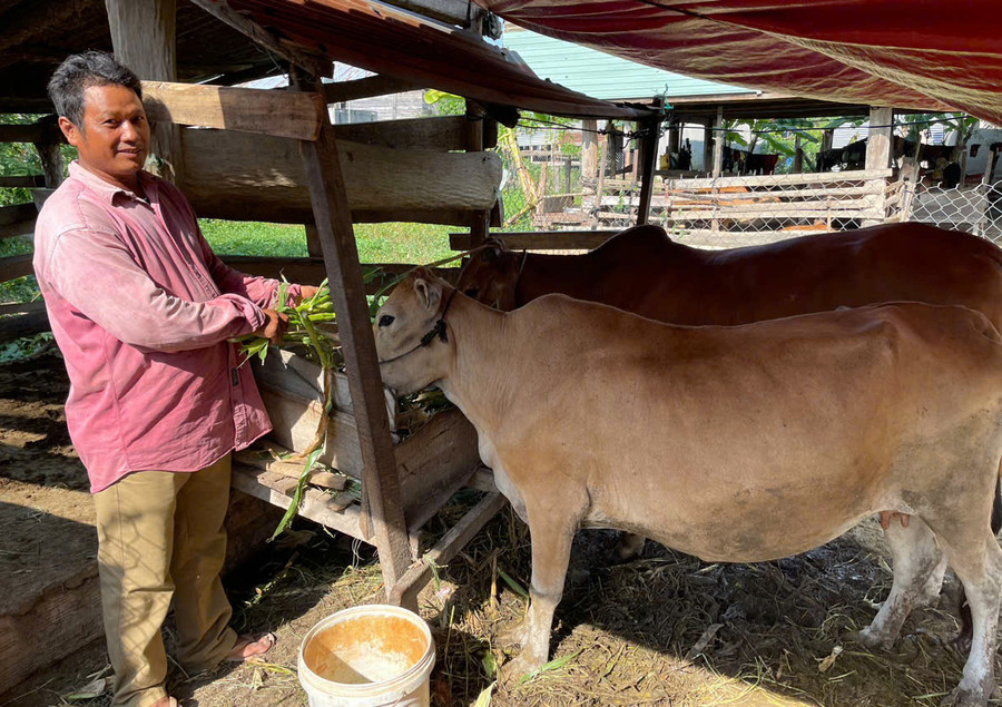 Ông Ksor Nuy-Trưởng thôn Plei Apa Ama Đă (xã Chư Mố) tiên phong di dời chuồng trại ra khỏi gầm nhà sàn. Ảnh: Vũ Chi