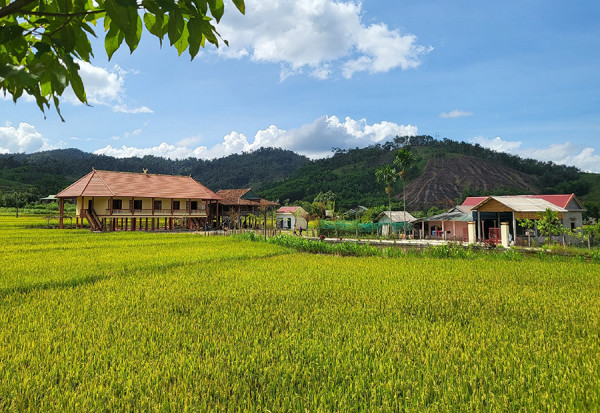 Những khu lưu trú cộng đồng đón 50 tới 60 khách mỗi đêm.