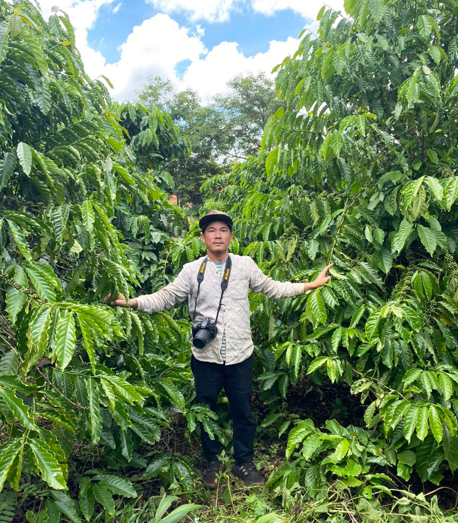 Ông Nguyễn Hữu Long bên vườn cà phê của Hợp tác xã Khoa học công nghệ-Thương mại Cà phê Việt Nam. Ảnh: N.T Ông Nguyễn Hữu Long bên vườn cà phê của Hợp tác xã Khoa học công nghệ-Thương mại Cà phê Việt Nam. Ảnh: N.T