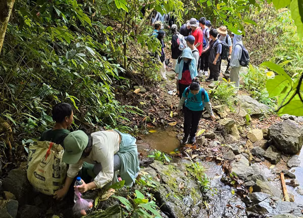 Du khách thích thú khám phá rừng nguyên sinh A Roàng.