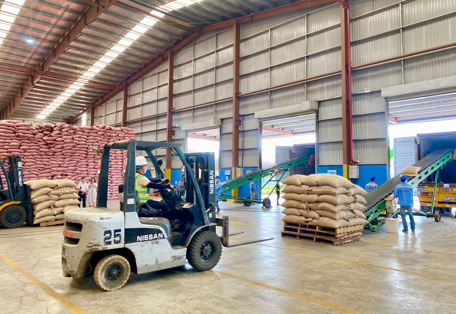 Gia Lai đang nỗ lực kiến tạo môi trường thuận lợi để phát triển đội ngũ doanh nghiệp, doanh nhân lớn mạnh cả về số lượng và chất lượng. Ảnh: H.D Gia Lai đang nỗ lực kiến tạo môi trường thuận lợi để phát triển đội ngũ doanh nghiệp, doanh nhân lớn mạnh cả về số lượng và chất lượng. Ảnh: H.D