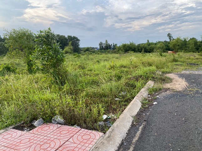 Bảng giá đất điều chỉnh không tác động đến việc định giá đất cụ thể để tính tiền sử dụng đất, tiền thuê đất của các dự án bất động sản.