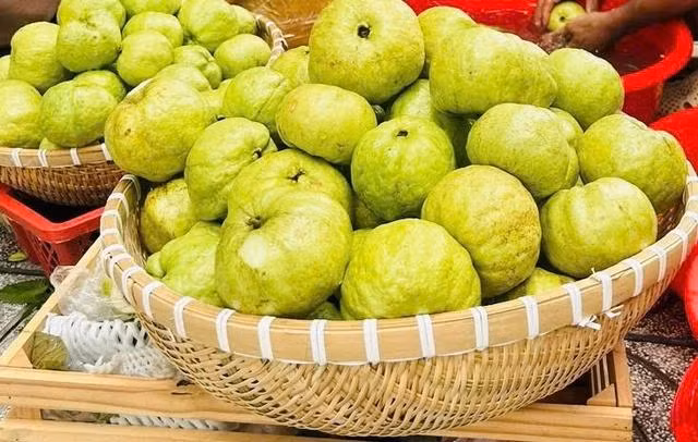 Vỏ ổi chứa một lượng lớn chất xơ