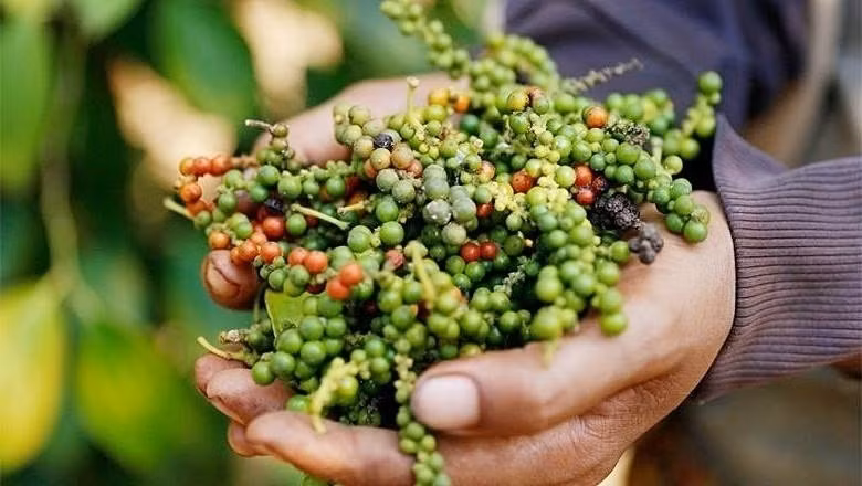 Ảnh minh họa: Internet