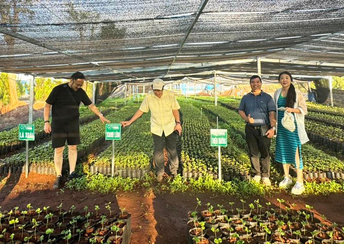 Khách tham quan vườn cây giống của Hợp tác xã Khoa học công nghệ-Thương mại Cà phê Việt Nam. Ảnh: N.T Khách tham quan vườn cây giống của Hợp tác xã Khoa học công nghệ-Thương mại Cà phê Việt Nam. Ảnh: N.T
